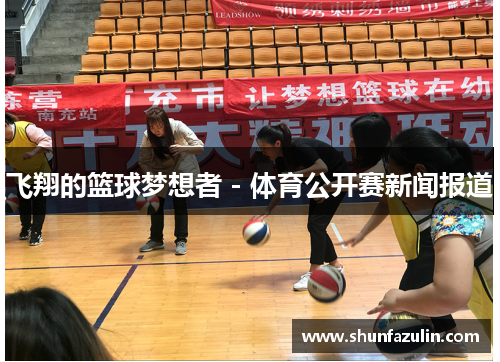 飞翔的篮球梦想者 - 体育公开赛新闻报道